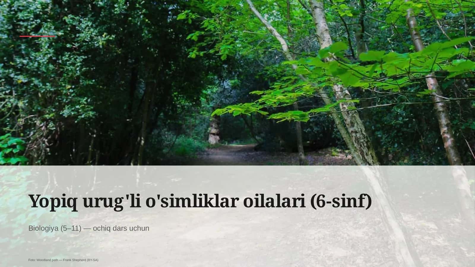 Yopiq urug'li o'simliklar oilalari (6-sinf)