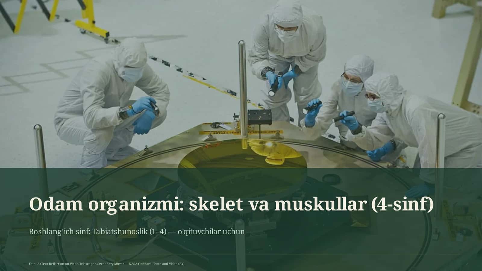 Odam organizmi: skelet va muskullar (4-sinf)