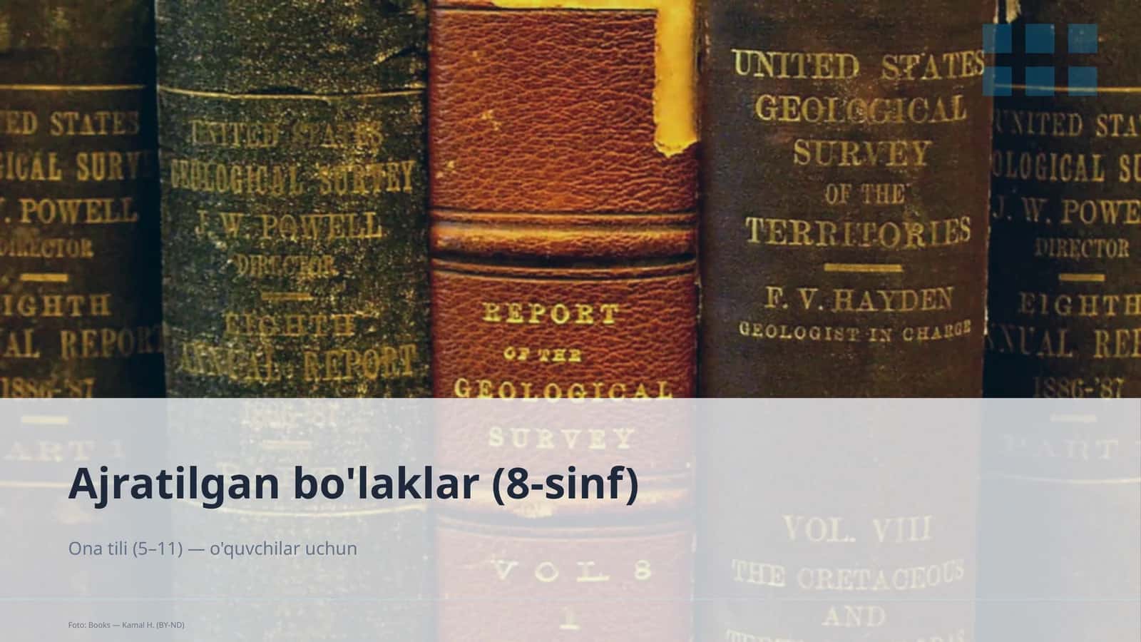 Ajratilgan bo'laklar (8-sinf)