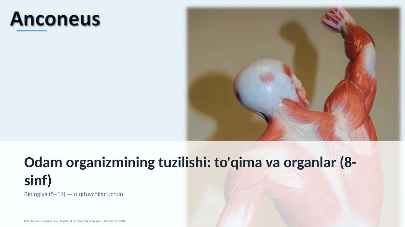 Odam organizmining tuzilishi: to'qima va organlar (8-sinf)