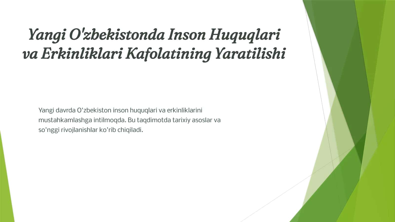 Yangi O'zbekistonda Inson Huquqlari va Erkinliklari Kafolatining Yaratilishi