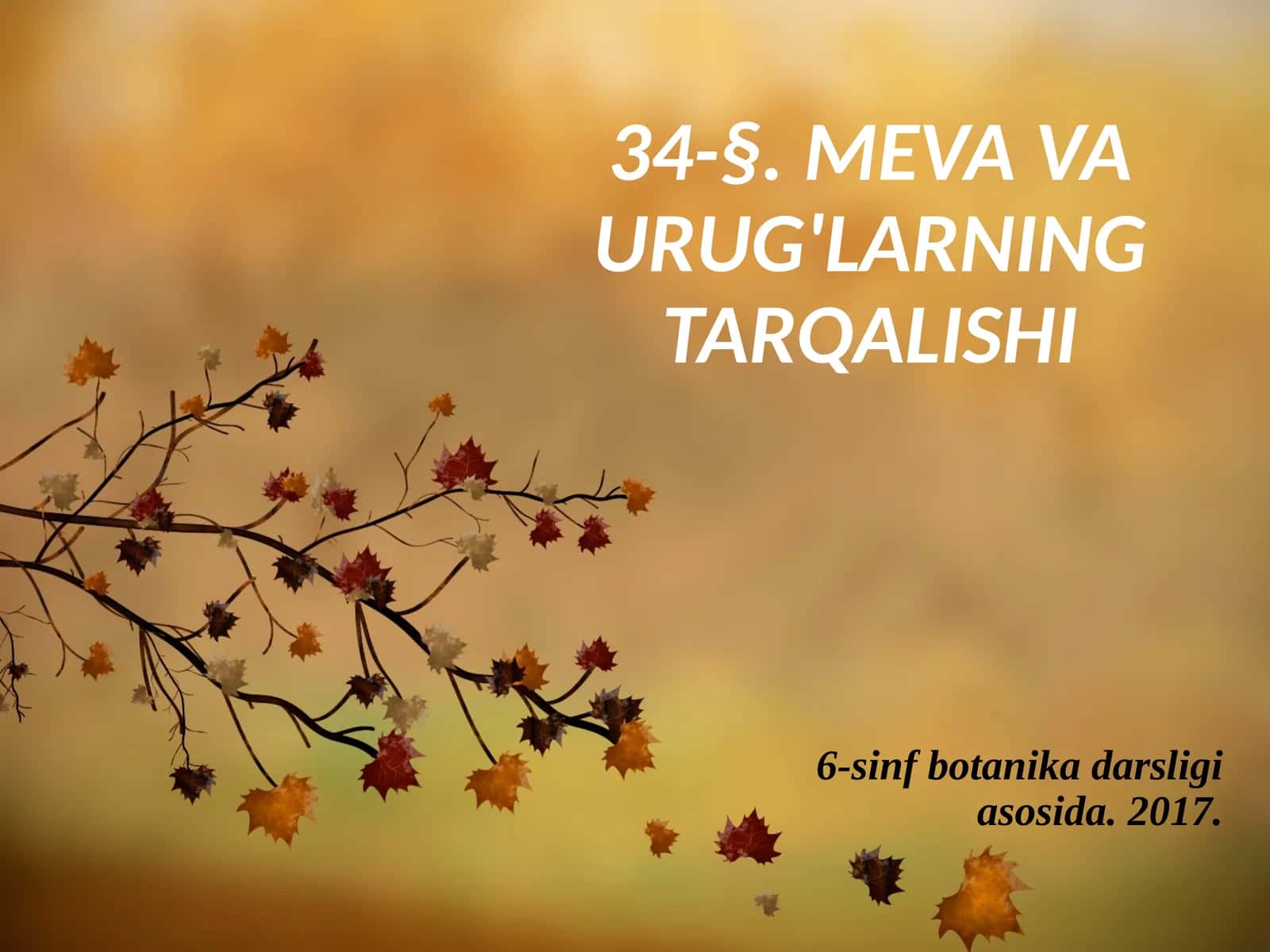 6-sinf Botanika Meva va urug'larning tarqalishi
