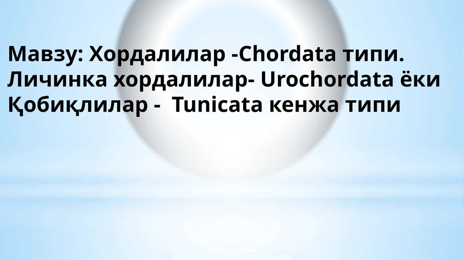 Хордалилар - Chordata типи