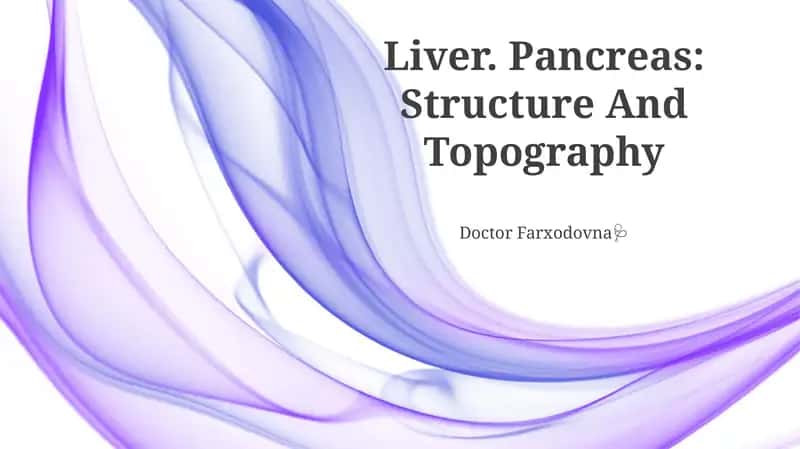Liver. Pancreas: Structure And Topography