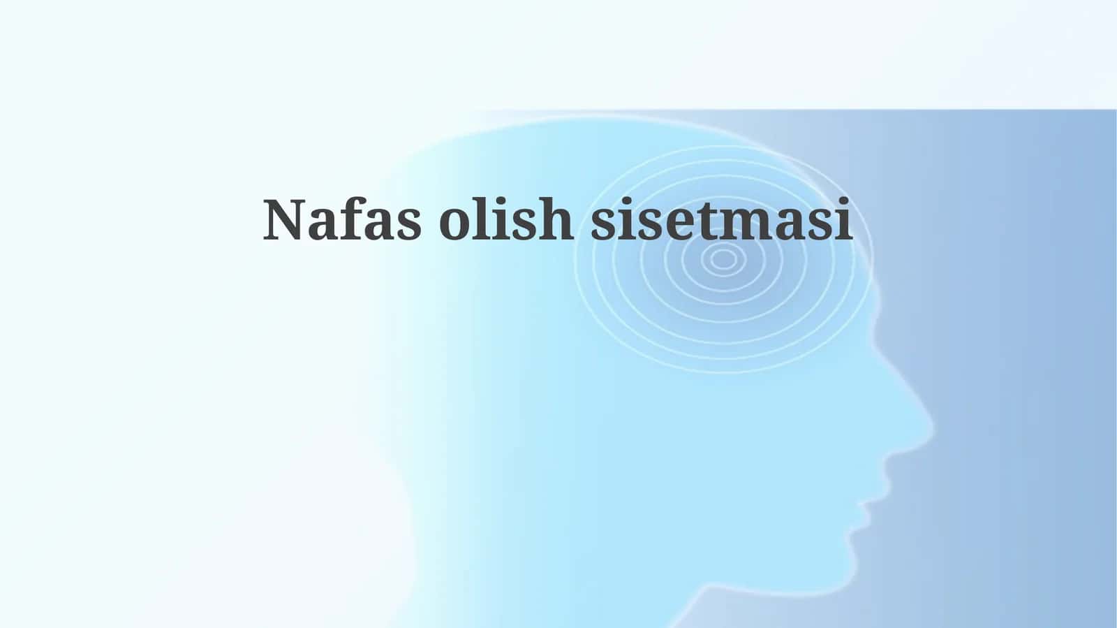 Nafasolishsisetmasi