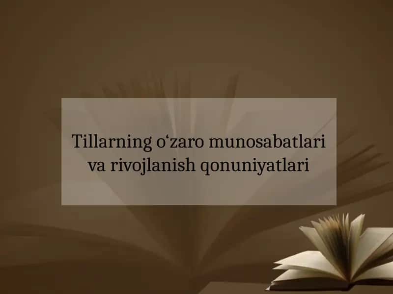 Tillarning o‘zaro munosabatlari va rivojlanish qonuniyatlari