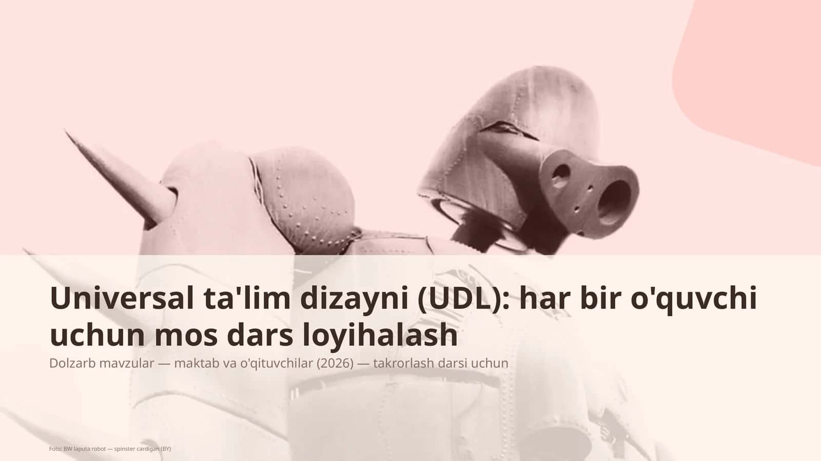 Universal ta'lim dizayni (UDL)