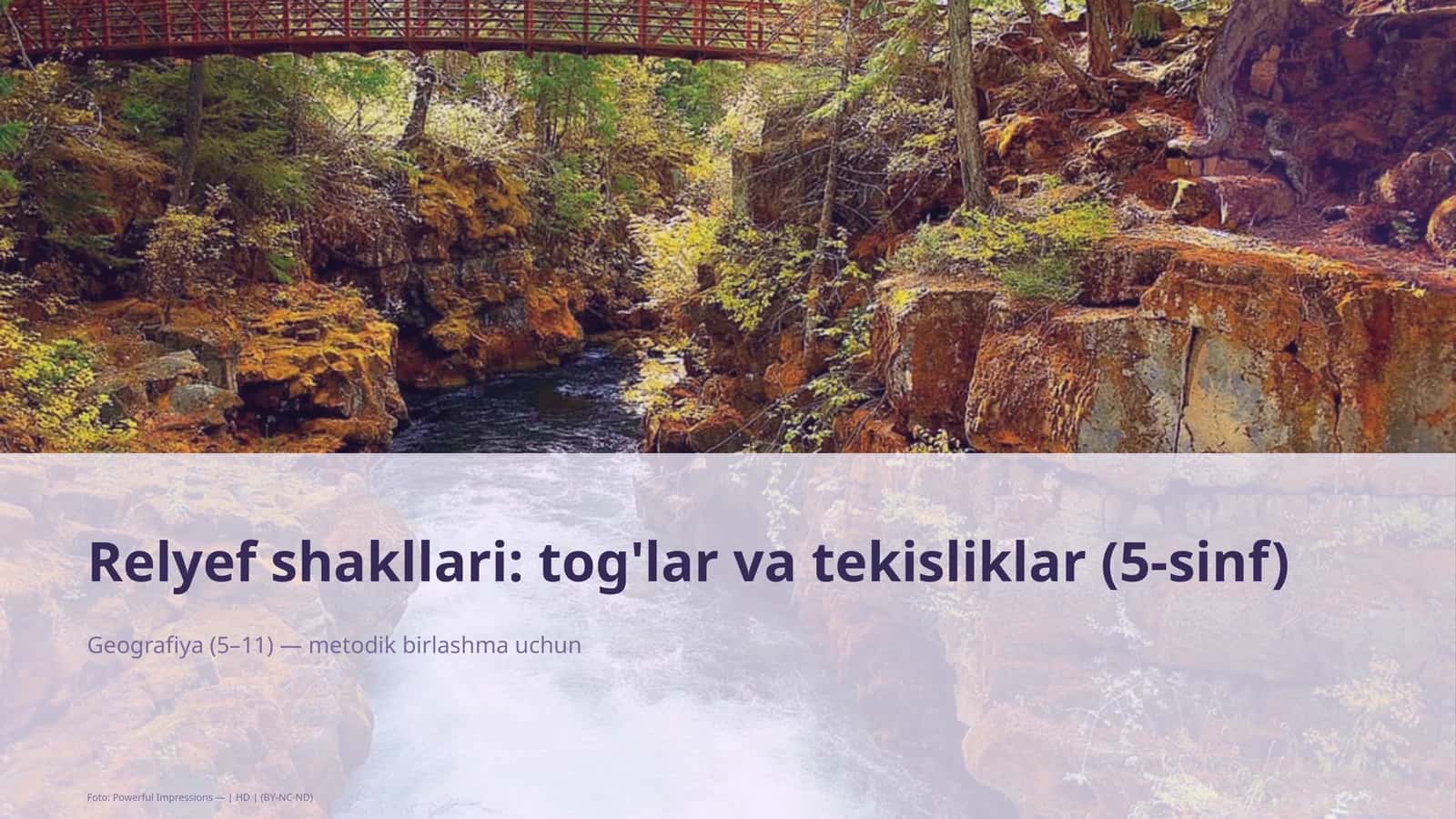 Relyef shakllari: tog'lar va tekisliklar (5-sinf)