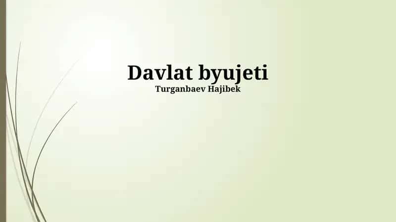 Davlat Byudjeti