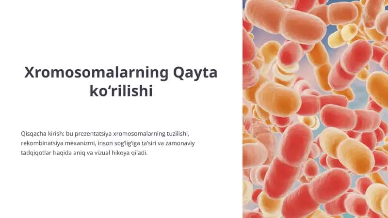 Xromosomalarning Qaytako‘rilishi