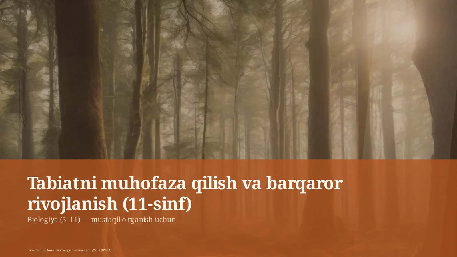 Tabiatni muhofaza qilish va barqaror rivojlanish (11-sinf)