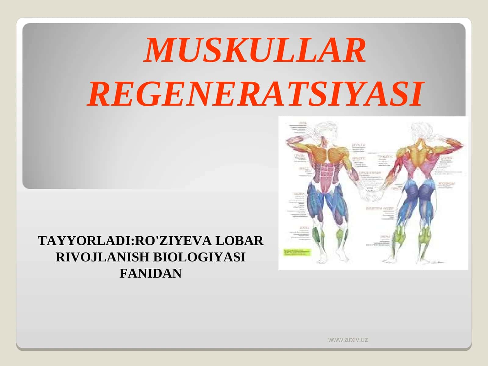 MUSKULLAR REGENERATSIYASI