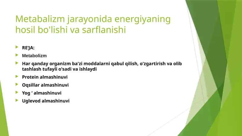 Metabolizm