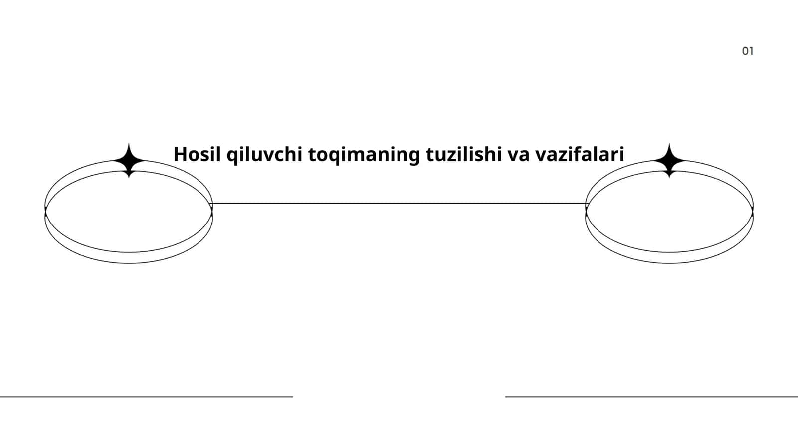 Tirik to'qima turlari, tuzilishi va vazifalari