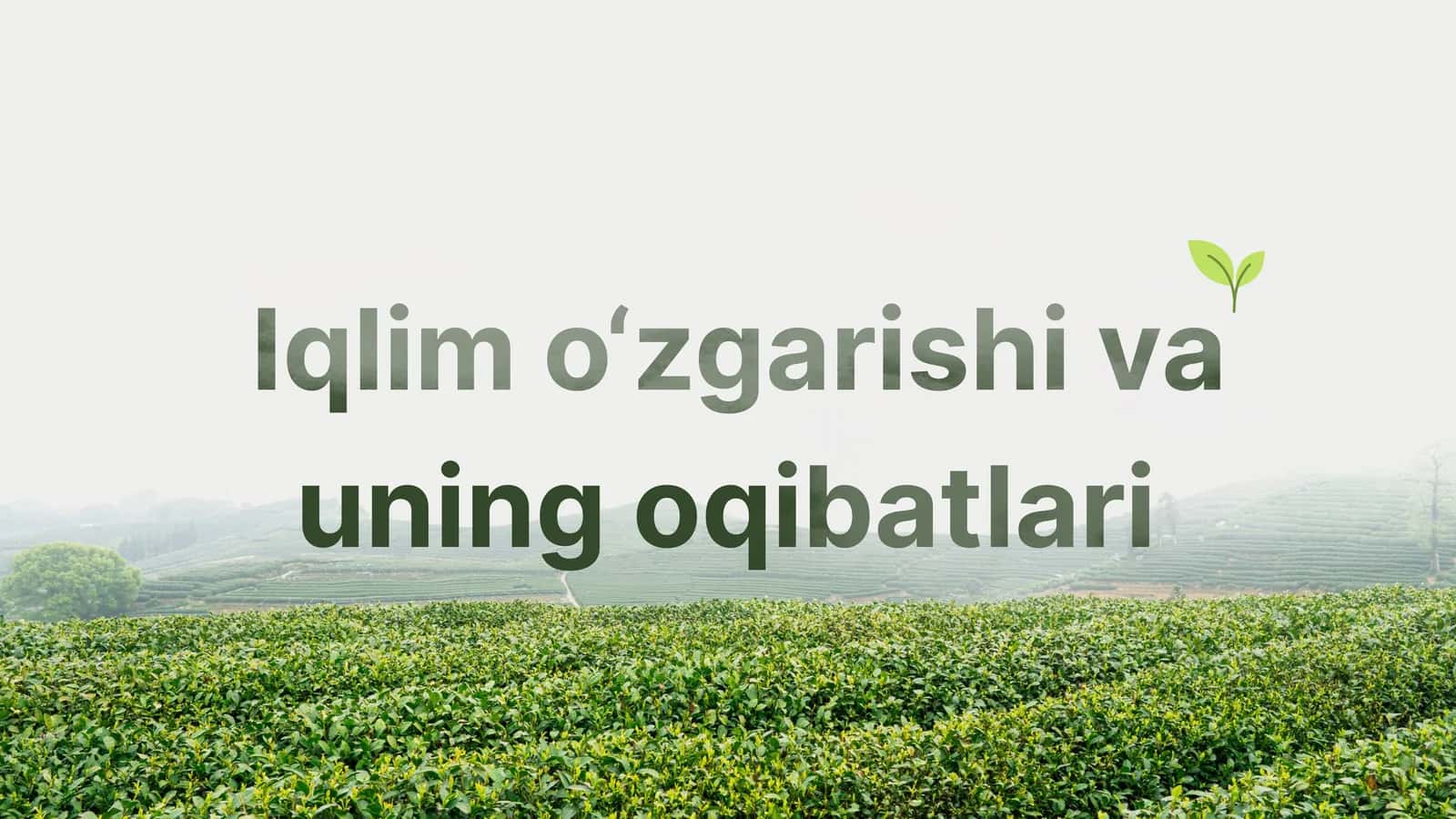 Iqlim o‘zgarishi va uning oqibatlari