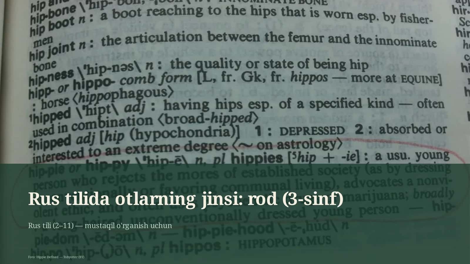 Rus tilida otlarning jinsi: rod (3-sinf)