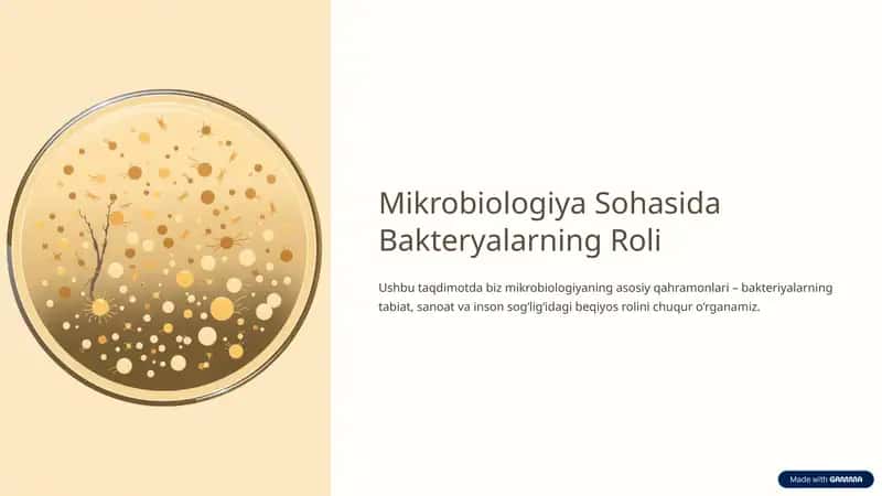 Mikrobiologiya Sohasida Bakteryalarning Roli