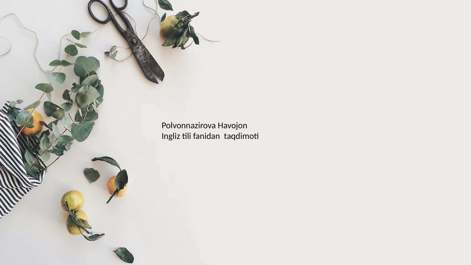 Polvonnazirova Havojon