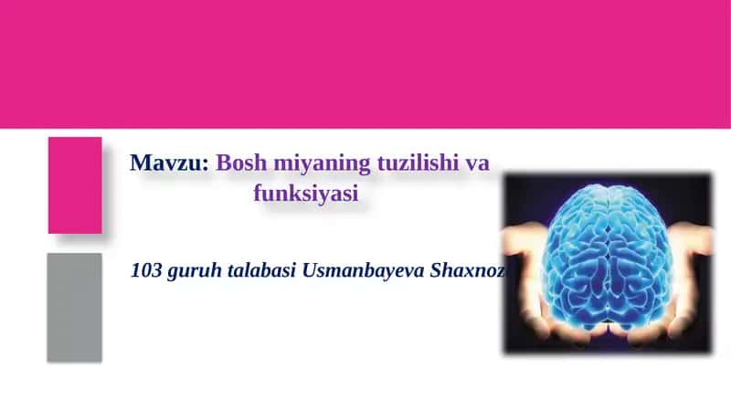 Boshmiyaning tuzilishi va funksiyasi