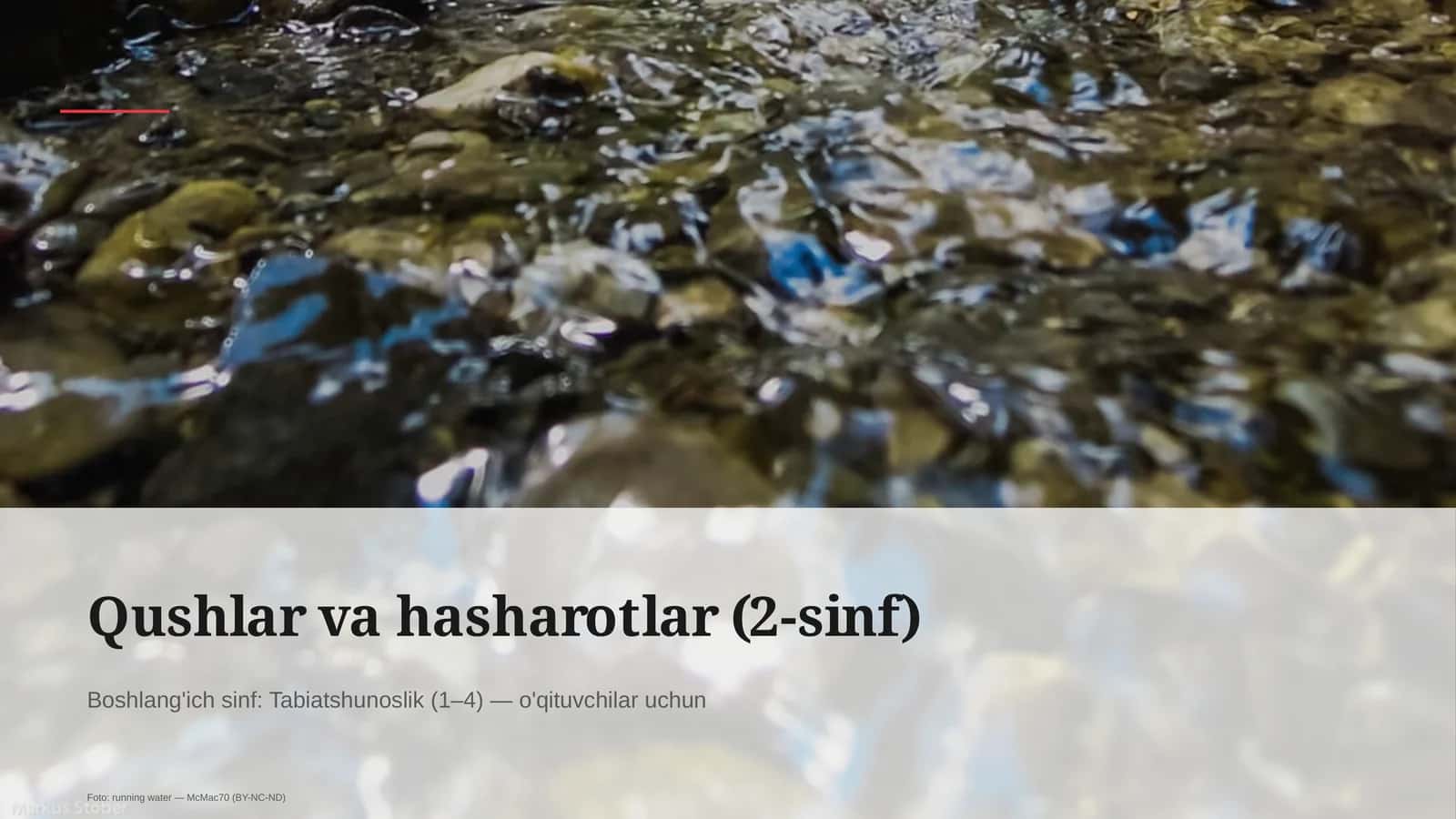 Qushlar va hasharotlar (2-sinf)