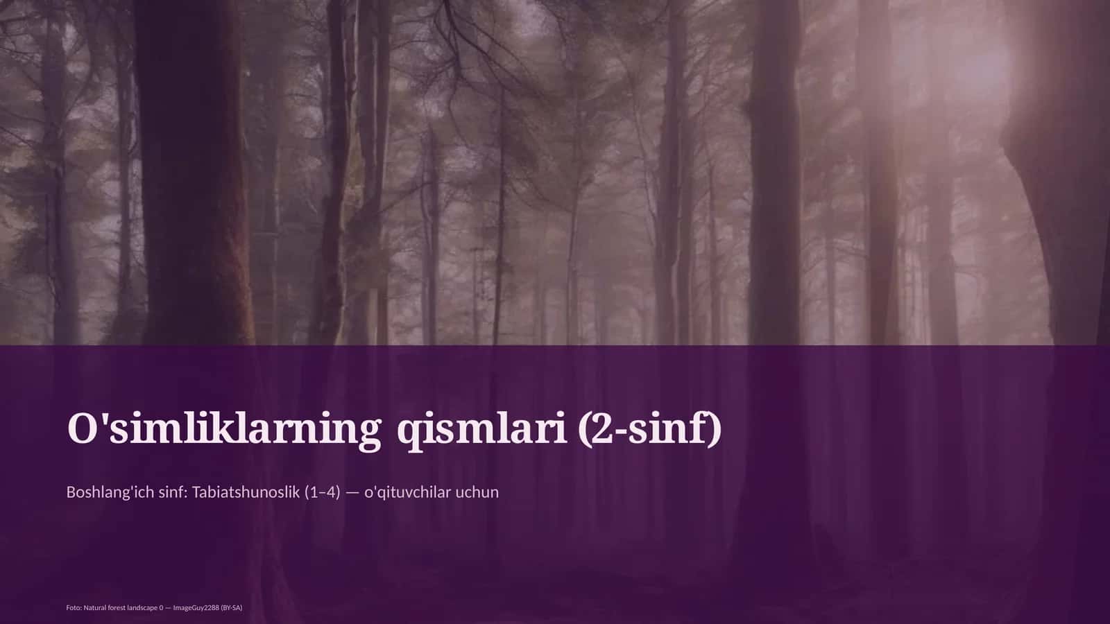 O'simliklarning qismlari (2-sinf)