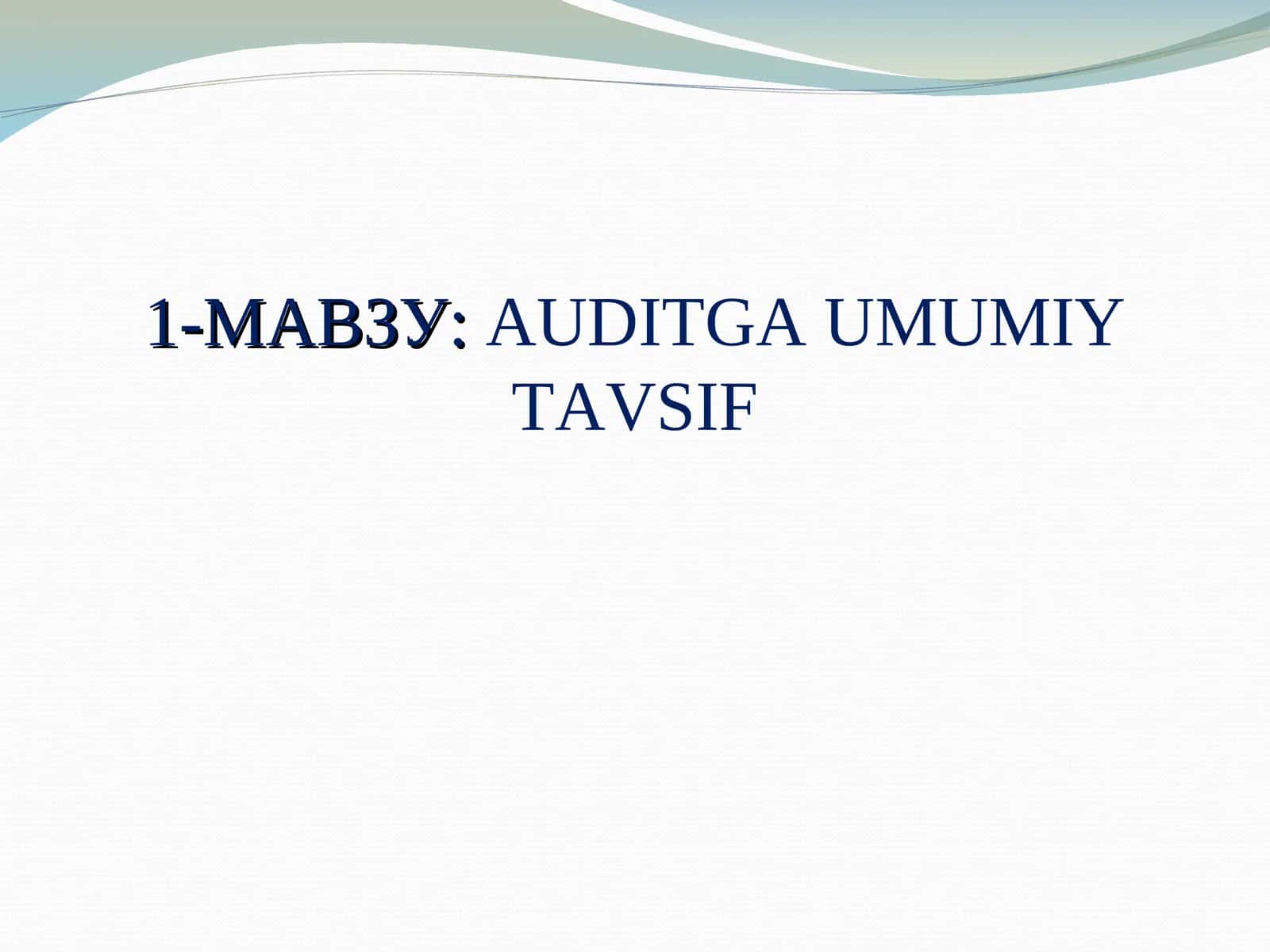 AUDITGA UMUMIY TAVSIF