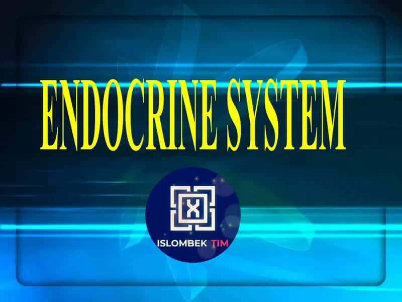 ENDOCRINE SYSTEM