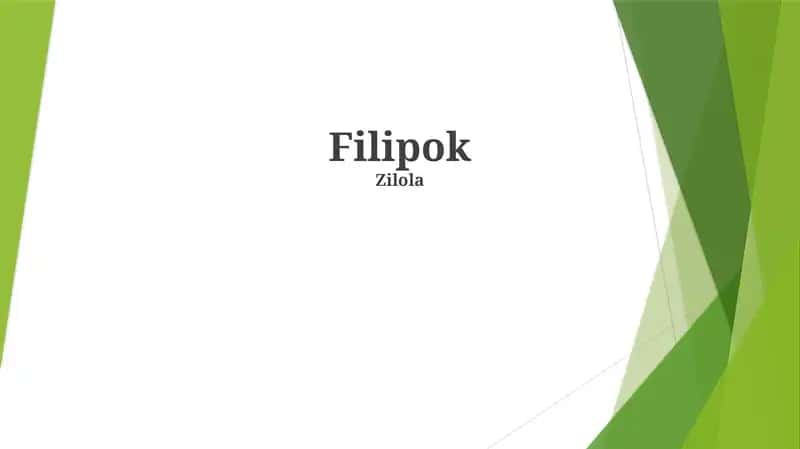 Filipok