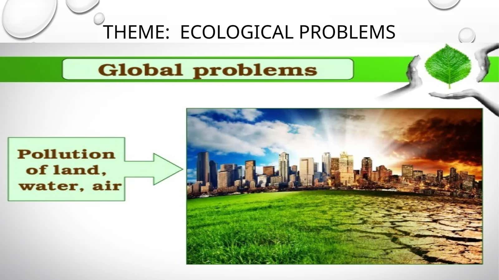 Ecological Problems