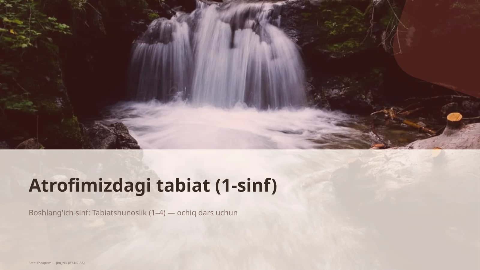 Atrofimizdagi tabiat (1-sinf)