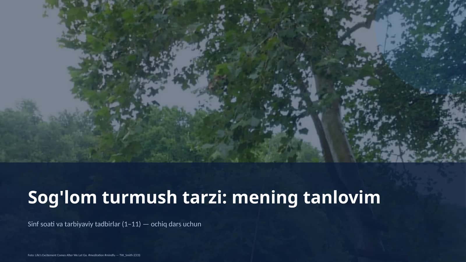 Sinf soati va tarbiyaviy tadbirlar (1–11) — ochiq dars uchun