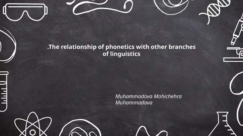 The relationship of phonetics with other branches of linguistics