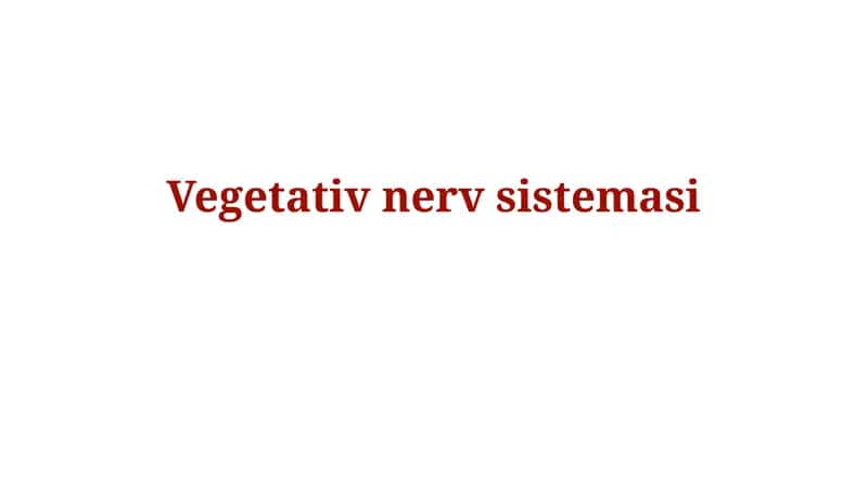 Avtonom nerv sistemasi anatomiyasi
