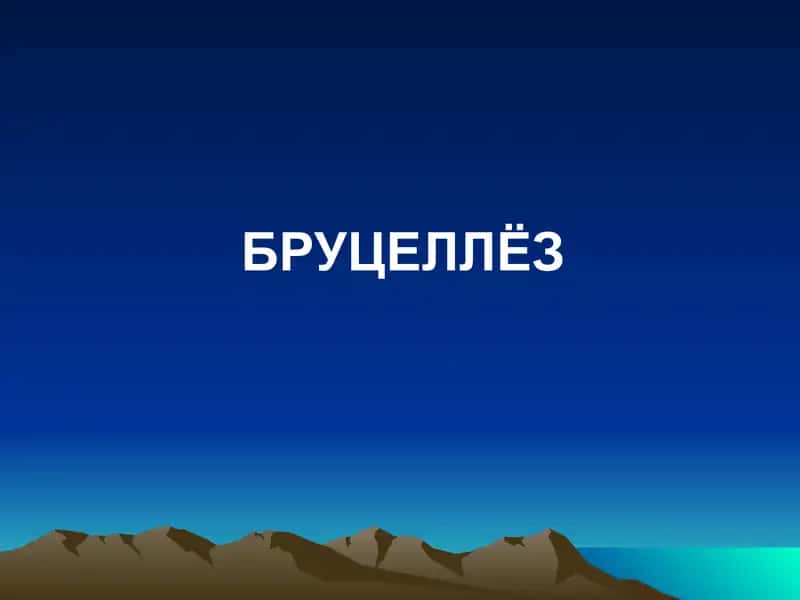 Бруцеллёз