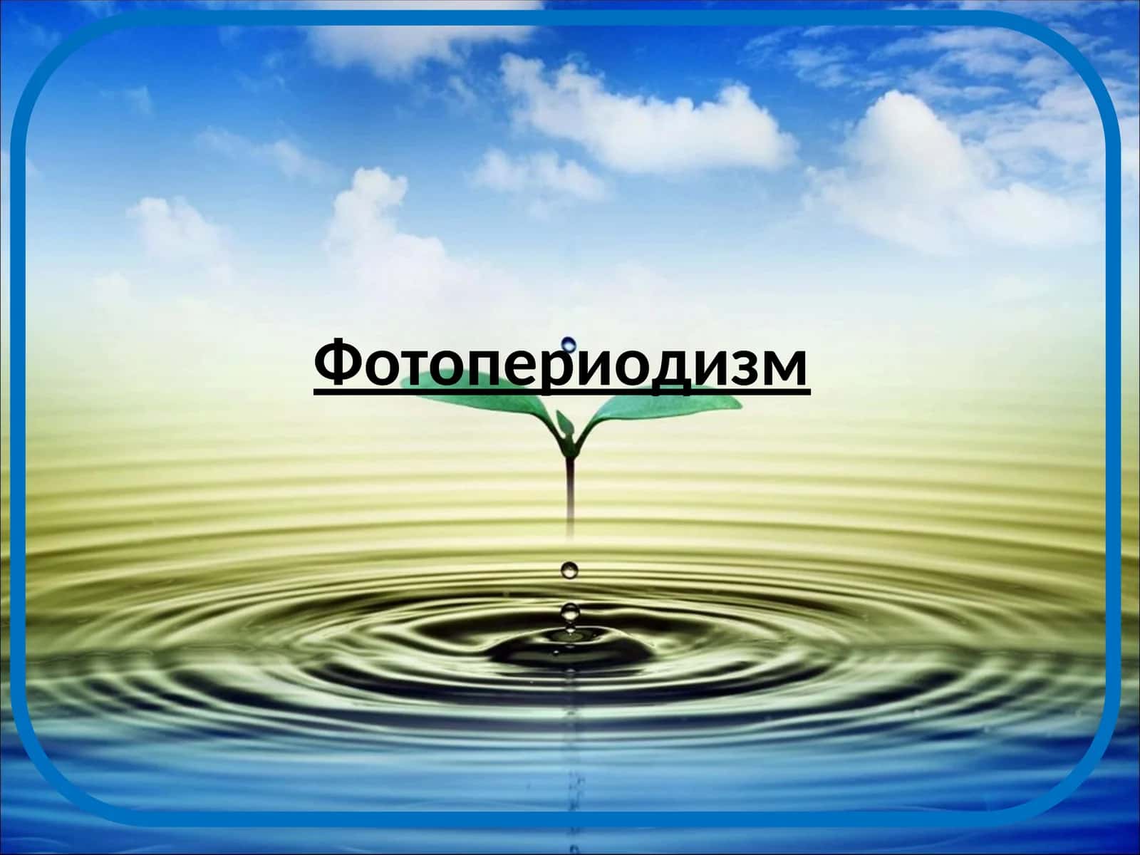 Фотопериодизм