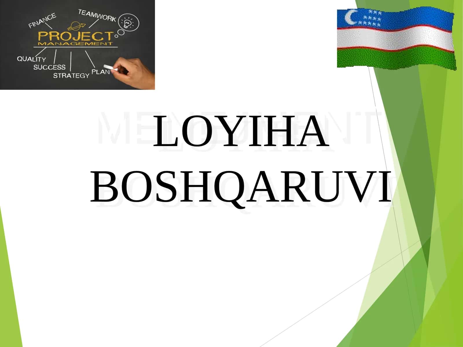 MENEJMENT LOYIHA BOSHQARUVI