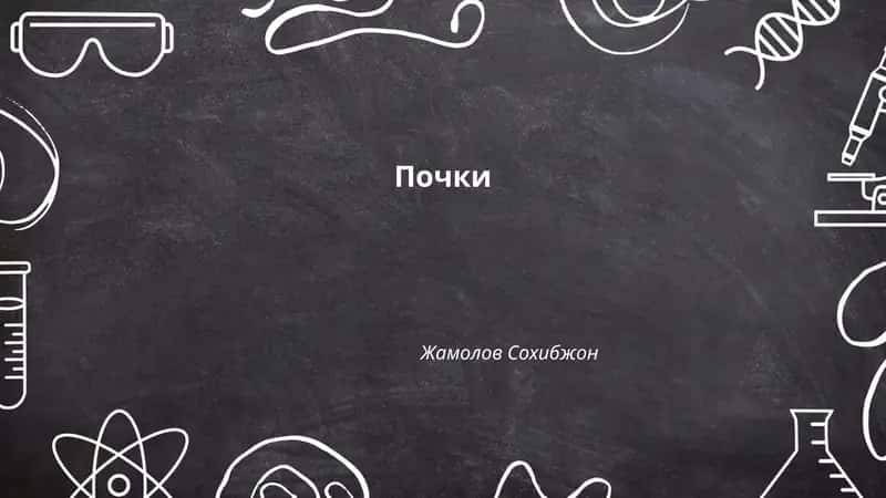 Почки