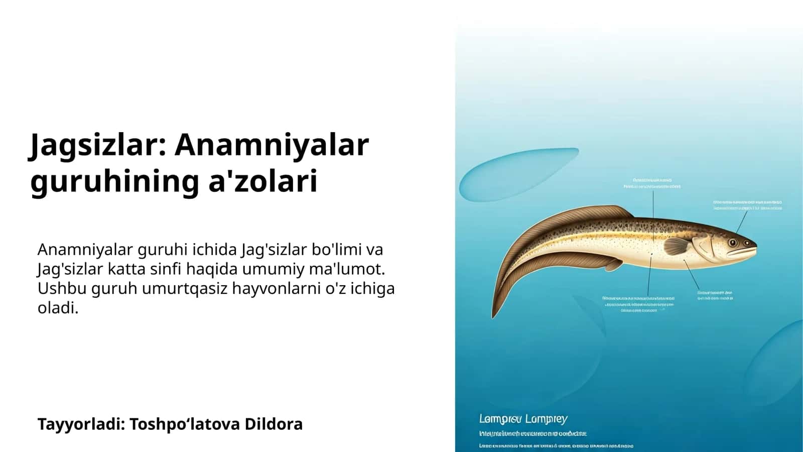 Jag'sizlar: Anamniyalar guruhining a'zolari