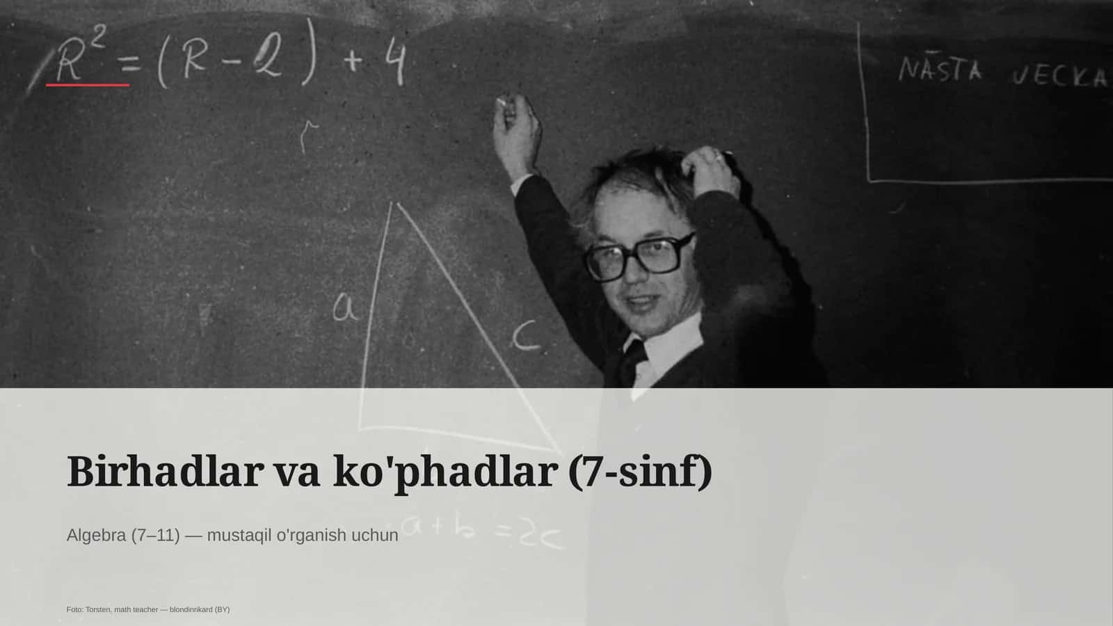 Birhadlar va ko'phadlar (7-sinf)