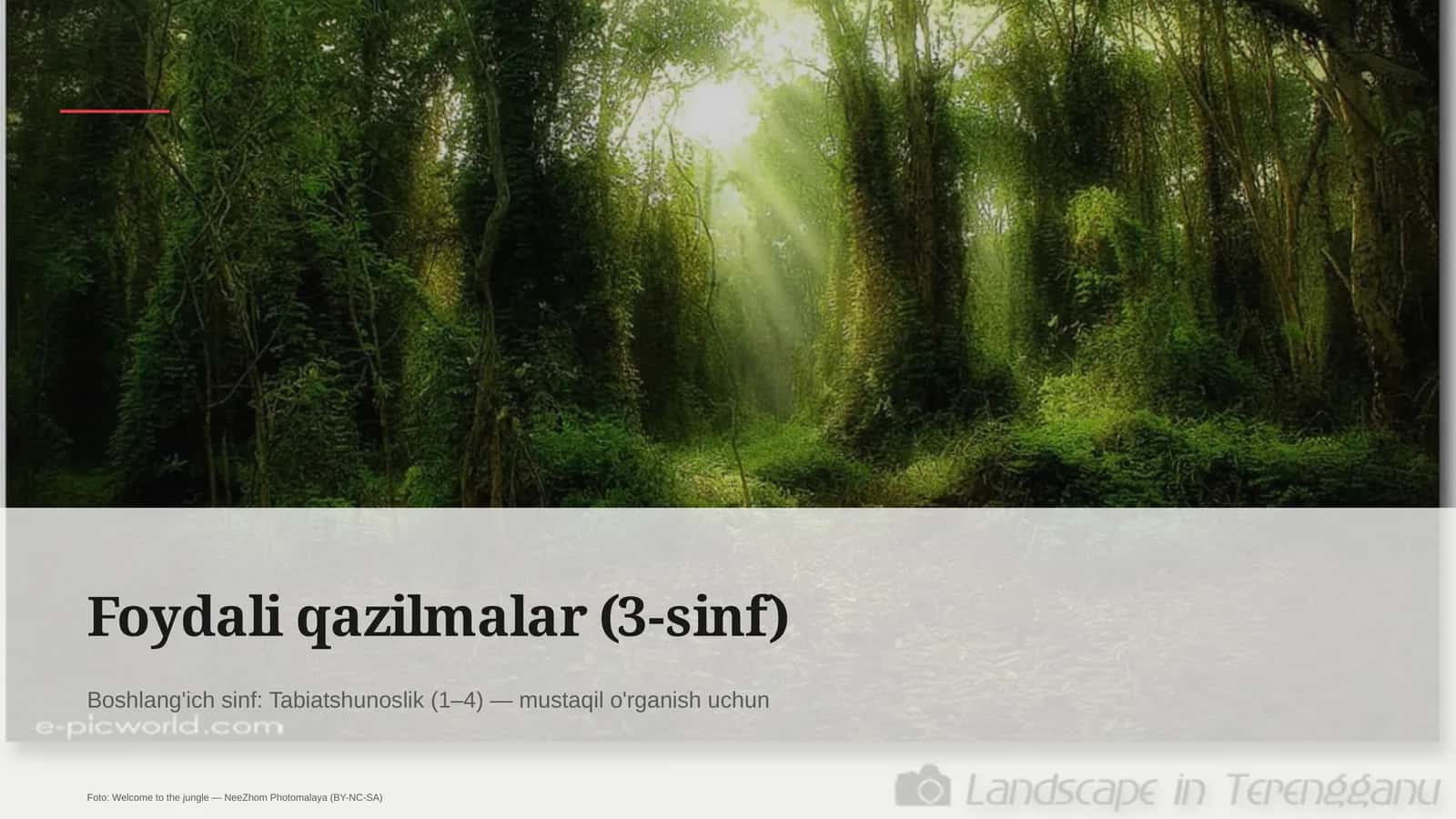Foydali qazilmalar (3-sinf)