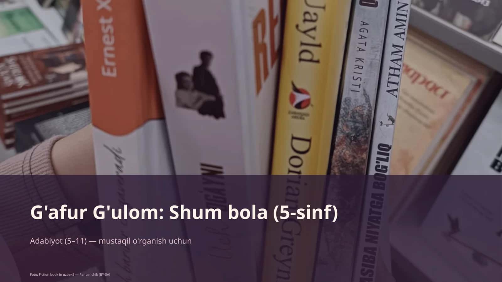 G'afur G'ulom: Shum bola (5-sinf)