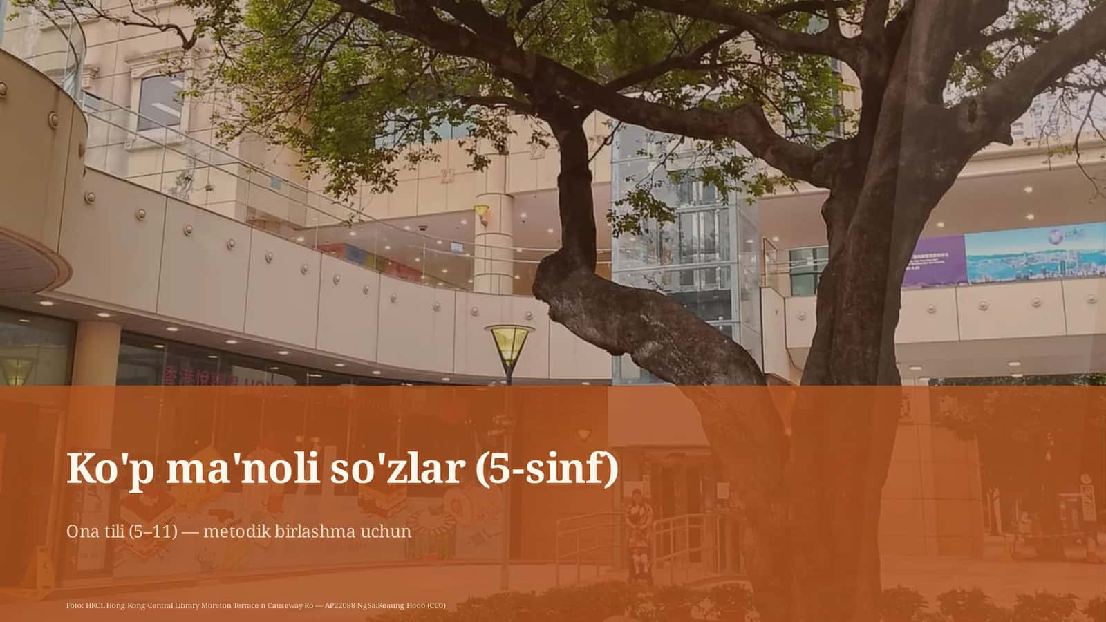 Ko'p ma'noli so'zlar (5-sinf)