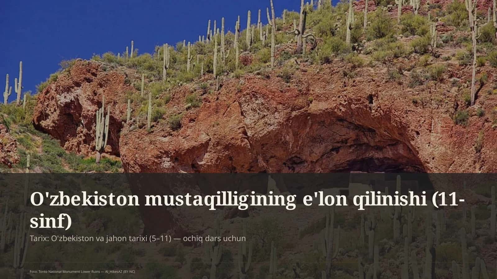 O'zbekiston mustaqilligining e'lon qilinishi (11-sinf)