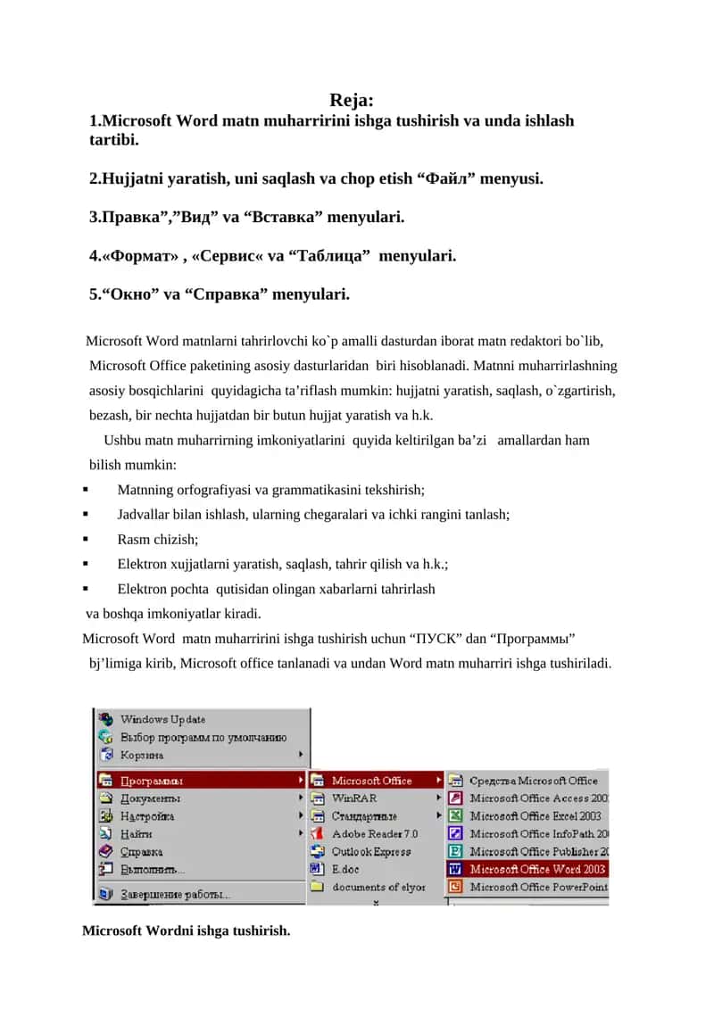 Microsoft Word matn muharririning asosiy imkoniyatlari