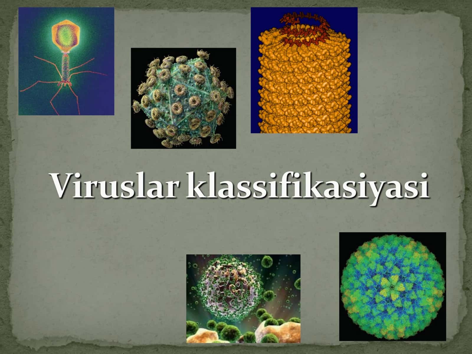 Viruslarning molekulyar biologik xususiyatlari