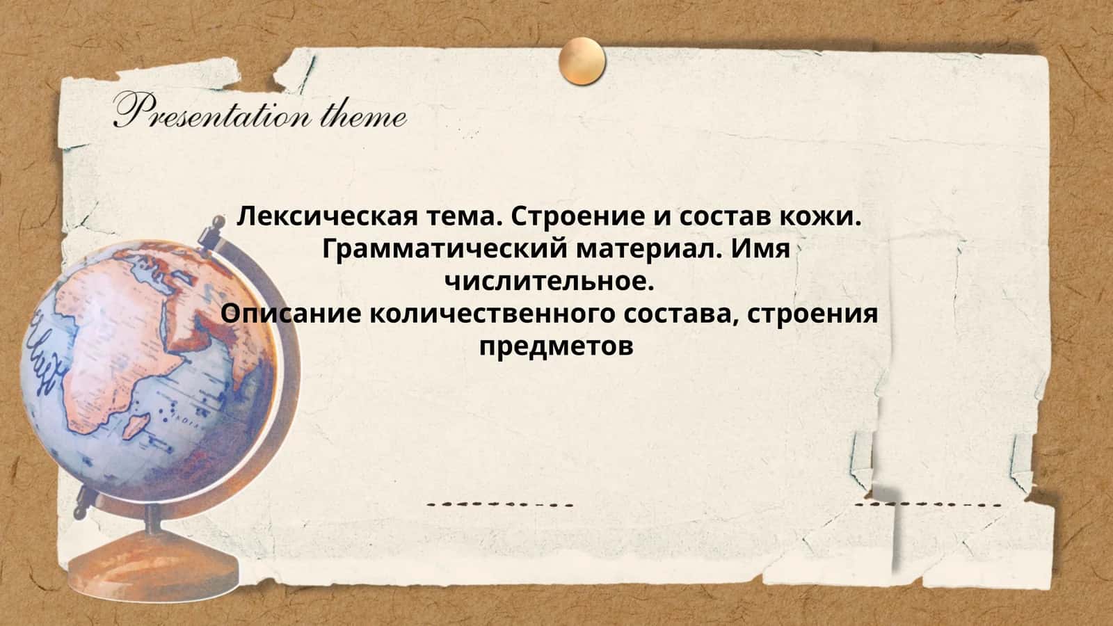 Лексическая тема. Строение и состав кожи