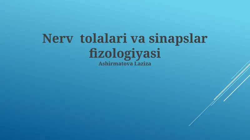 Nerv tolalari va sinapslar fizologiyasi