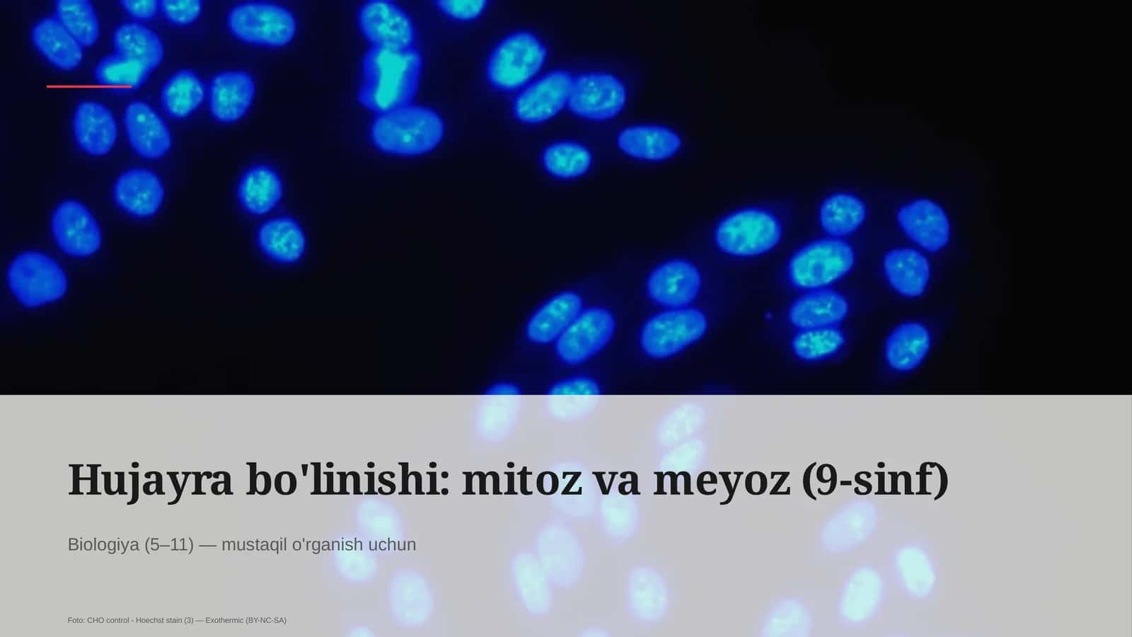 Hujayra bo'linishi: mitoz va meyoz (9-sinf)
