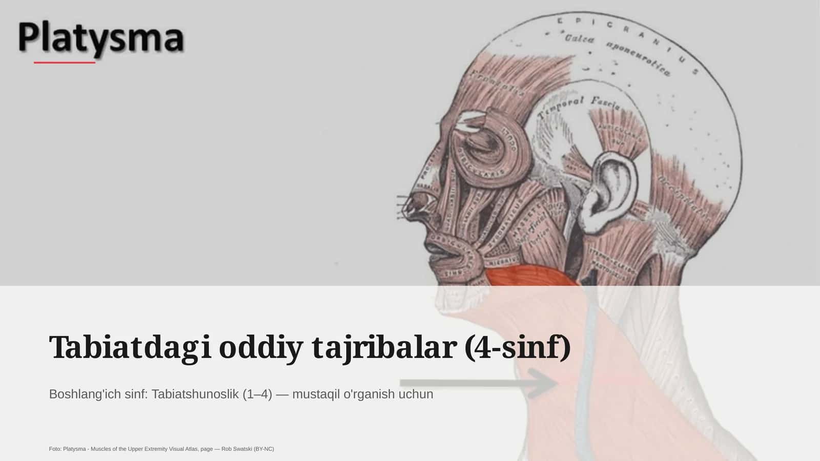 Tabiatdagi oddiy tajribalar (4-sinf)