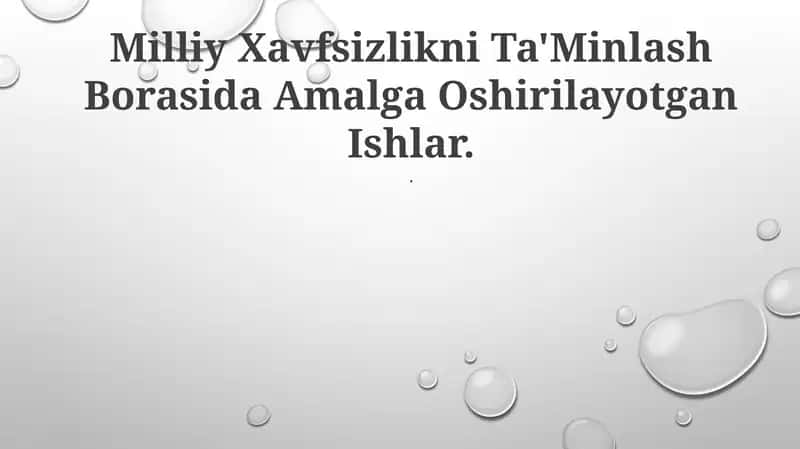 Milliy Xavfsizlikni Ta'Minlash Borasida Amalga Oshirilayotgan Ishlar